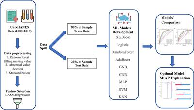 The relationship between heavy metals and metabolic syndrome using machine learning